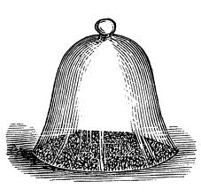 antique garden bell jar