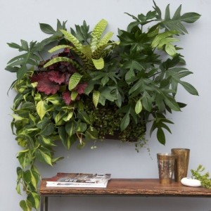 woolly pocket living wall planter