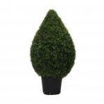 3 foot boxwood