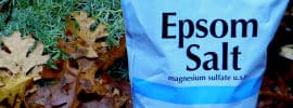 epsom salt