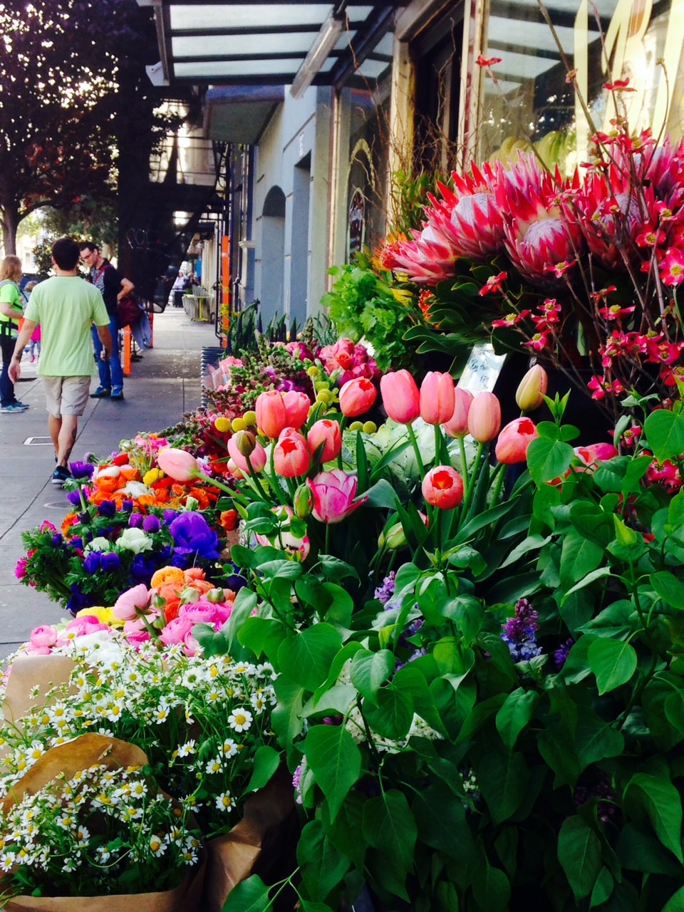 7 Good Cut Flowers Grow your Own!