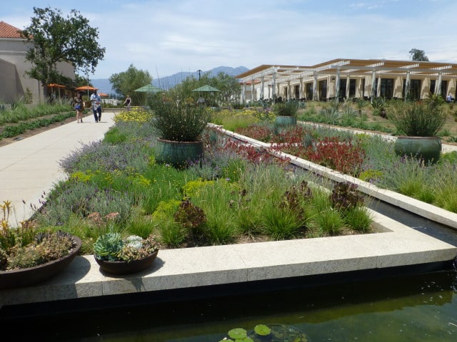 Celebration Garden and Water Feature