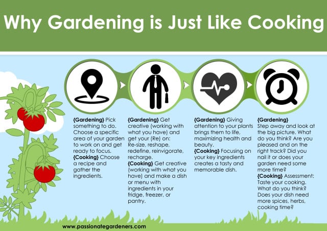 gardening_vs_cooking infographic