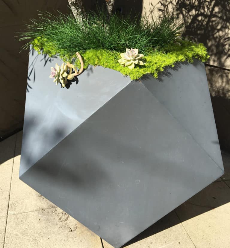 What is this? A Modern Geometric Planter!