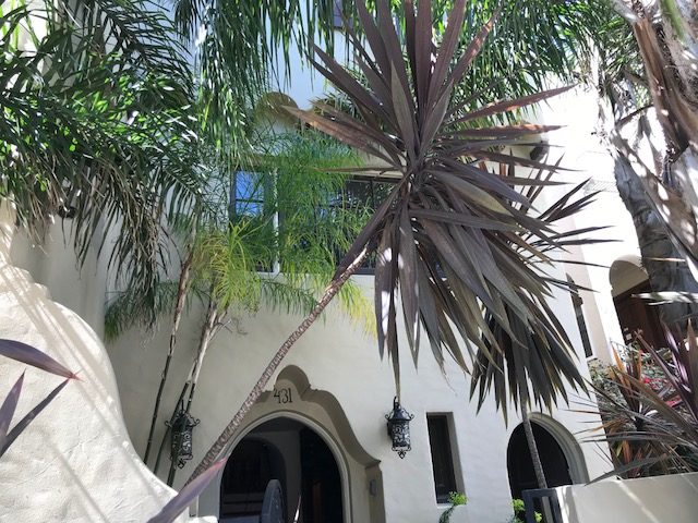 Architectural: Cordyline and Palms