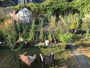 Vancouver edible home garden