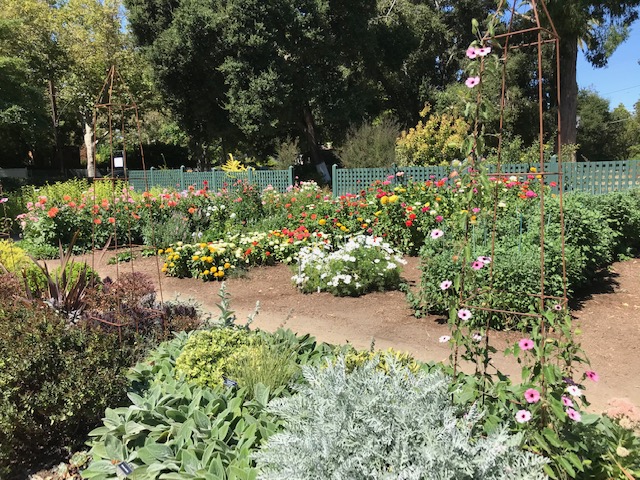 The Elizabeth F. Gamble Garden. Palo Alto, California