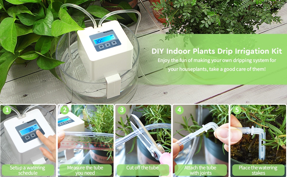 How to Keep Your Indoor Plants Watered While You’re Away!