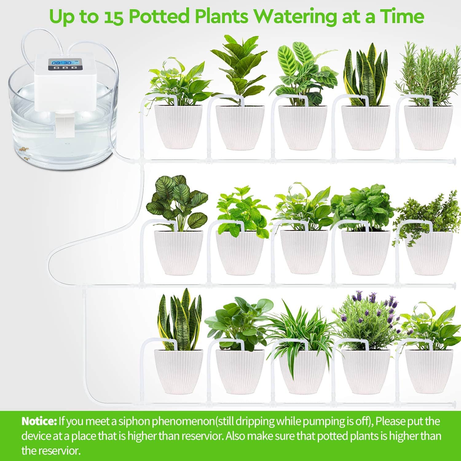 How to Keep Your Indoor Plants Watered While You’re Away!